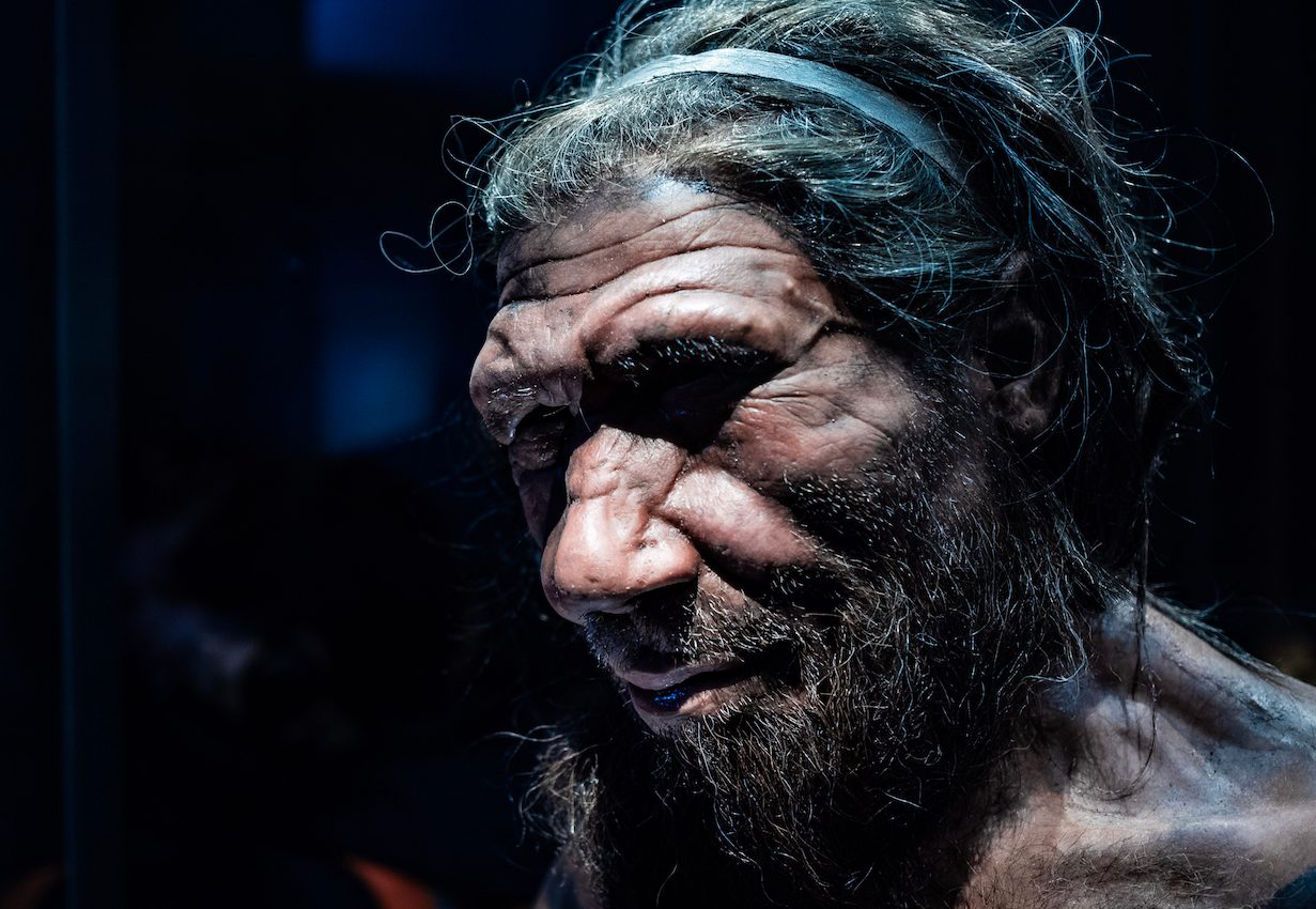 An unknown human ancestor may have mated with Neanderthals and Denisovans