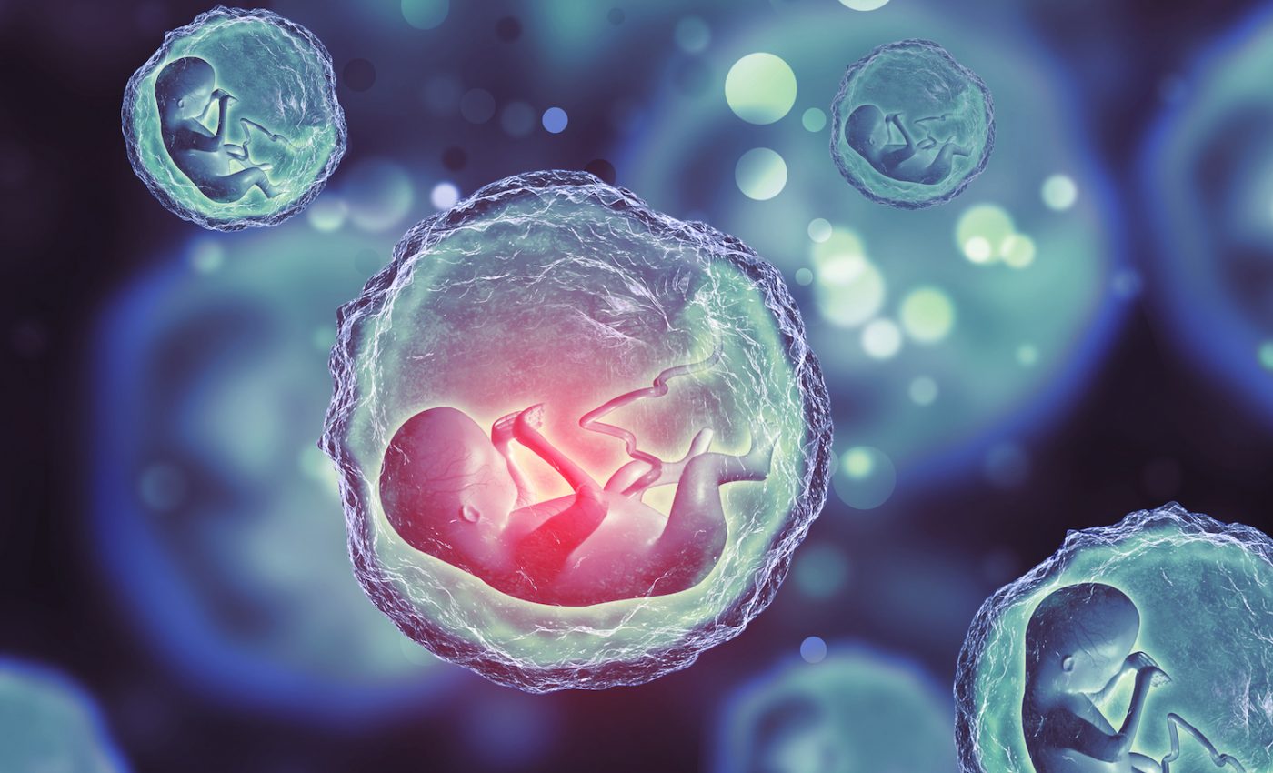 Scientists identify the two molecules that activate life itself