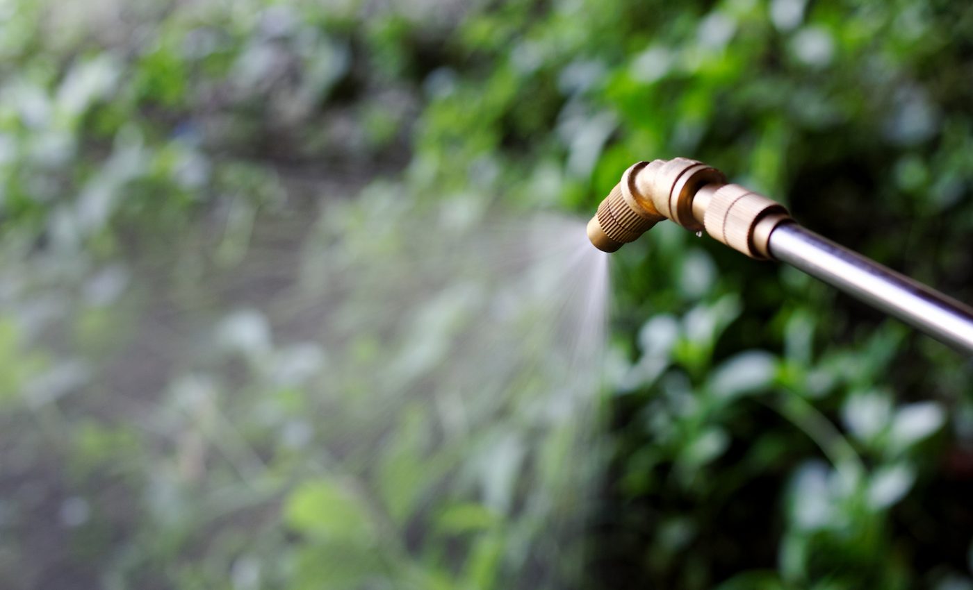 Superweeds are becoming increasingly resistant to herbicides