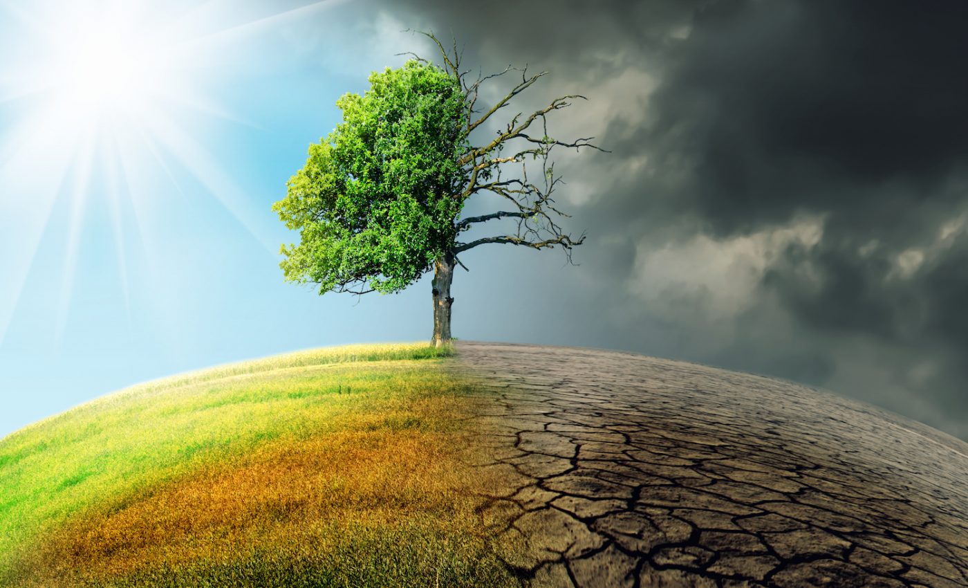 Harvard scientist: We have 5 years to mitigate the worst of climate change