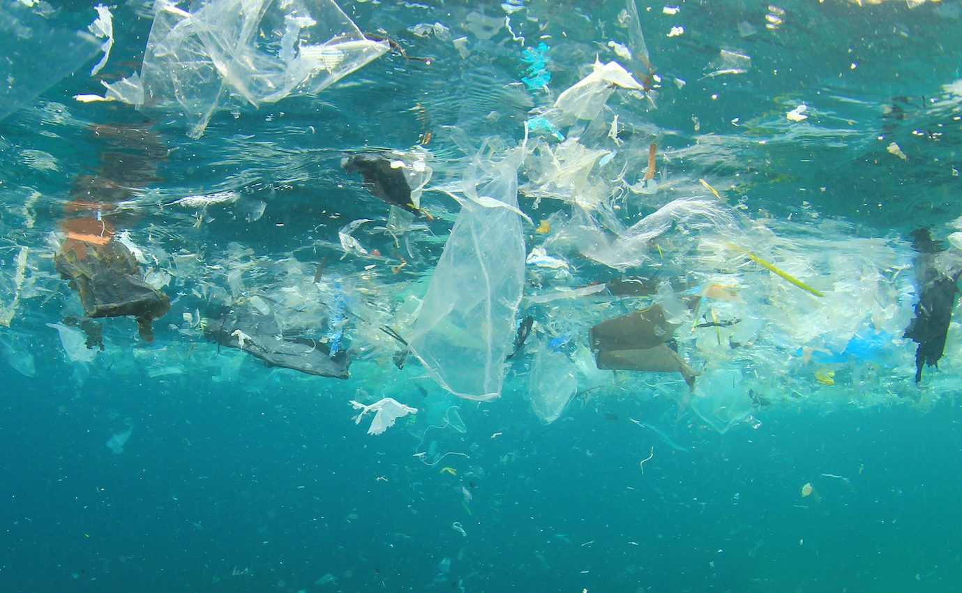 New online digital currency systems incentivize ocean plastic cleanup efforts
