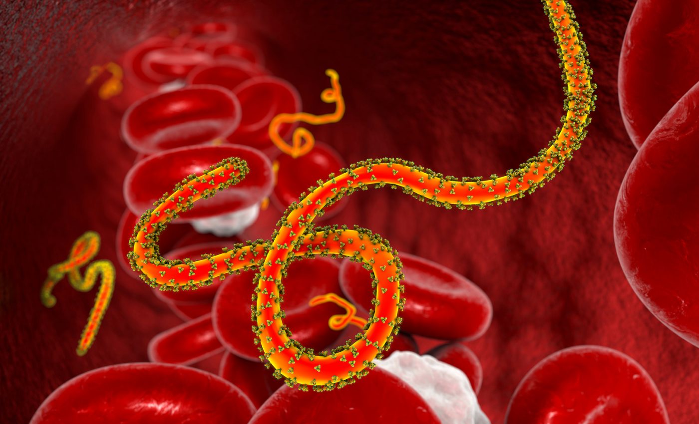 Half of all Ebola outbreaks have gone undetected