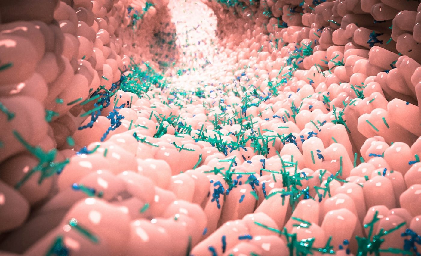 New tool can predict changes in the composition of the gut microbiome