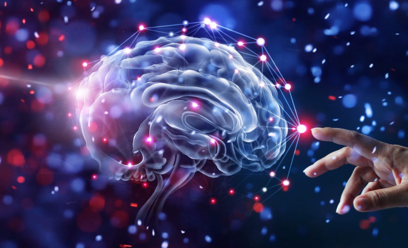 The good, the bad, and the memories: How the brain makes decisions