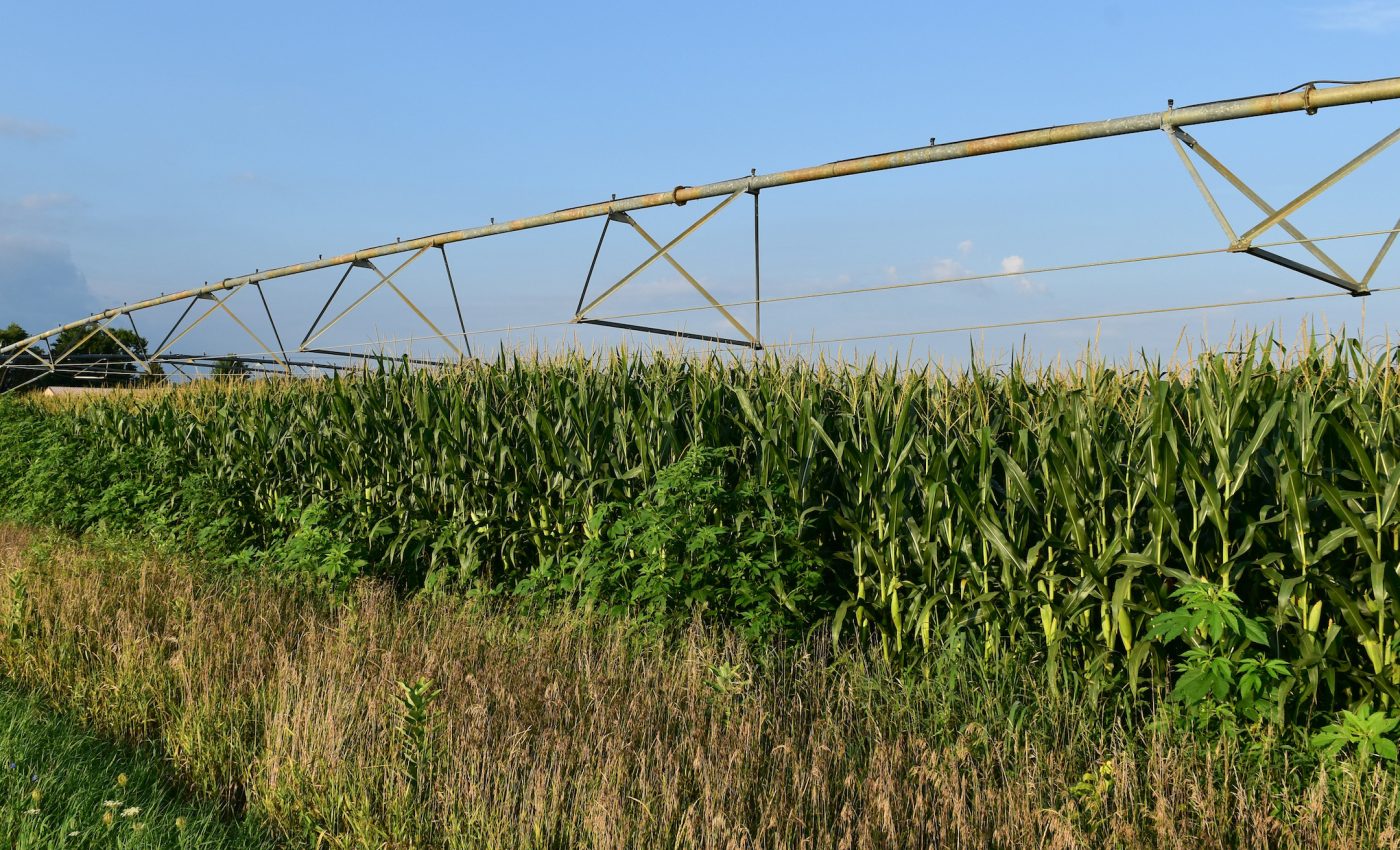 Irrigated farms are cooling local temperatures in Wisconsin
