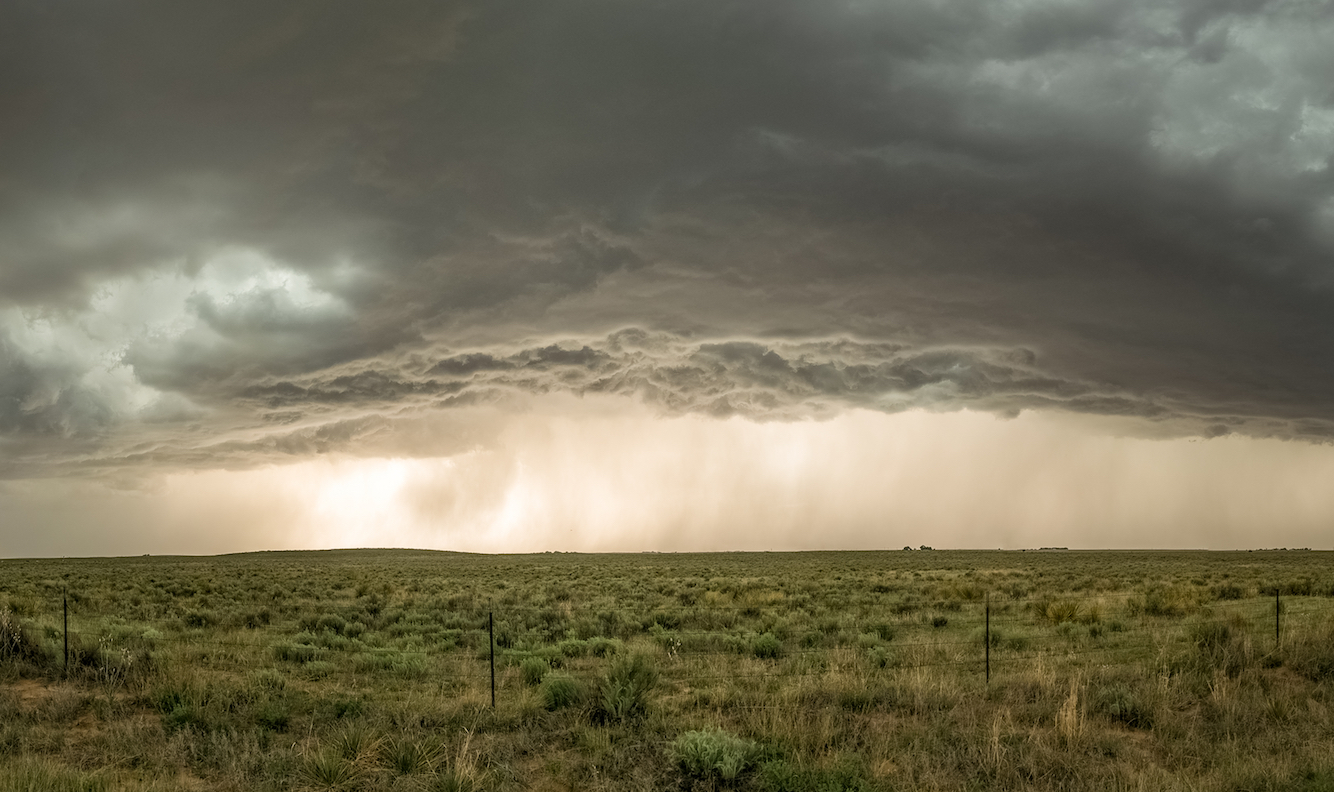 Ecosystems in the U.S. are moving hundreds of miles north