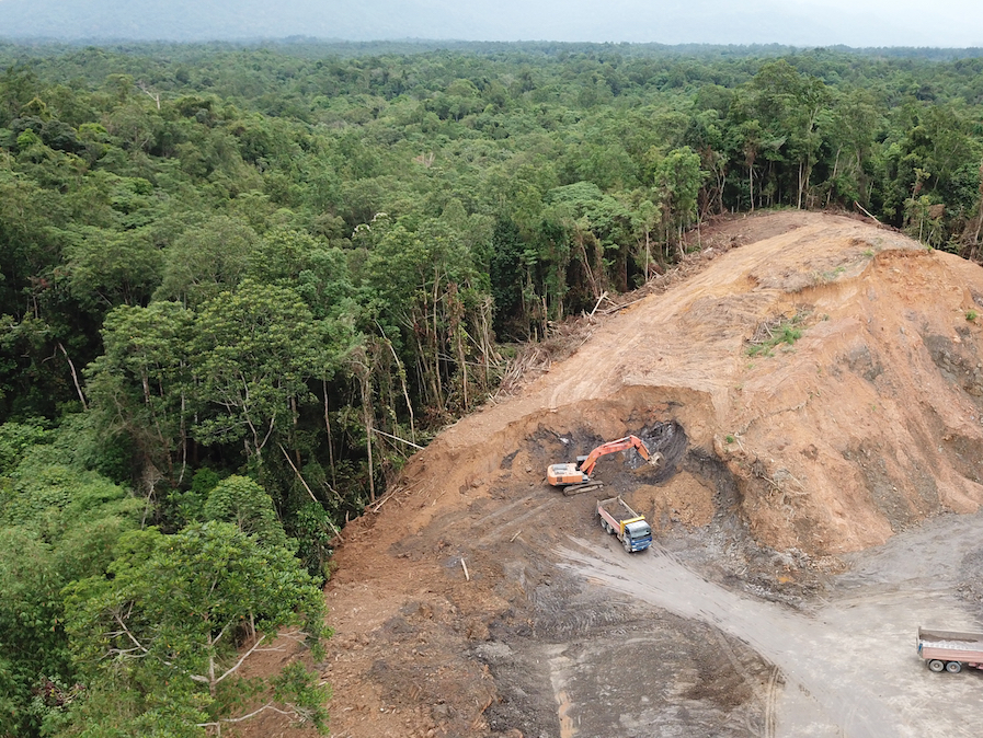How much of destroyed tropical forests can be restored to improve climate?