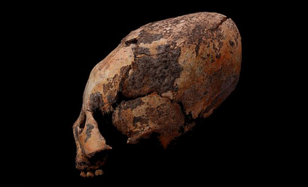 Chinese tombs reveal ancient people who purposely elongated their skulls