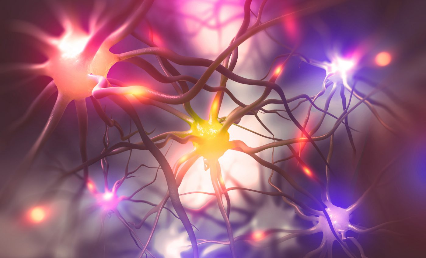 This hunger hormone is also linked to memory control