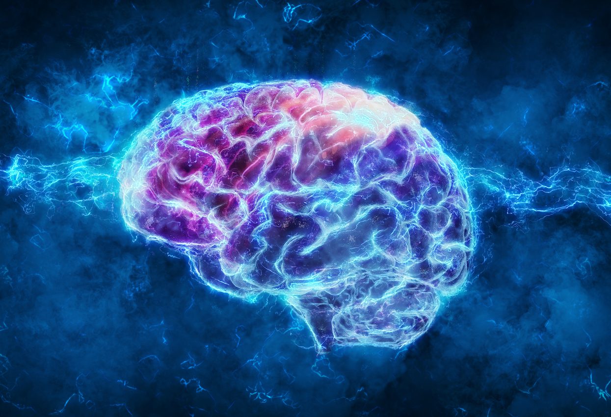 Area of the brain that controls spatial awareness is also linked to decisions