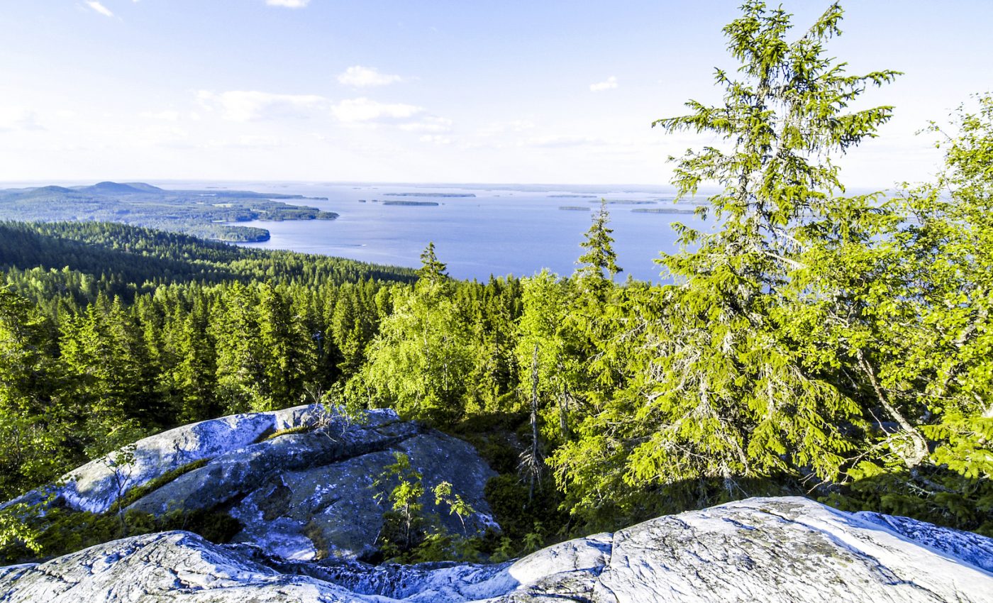 Protected areas may not be protected enough, new study finds