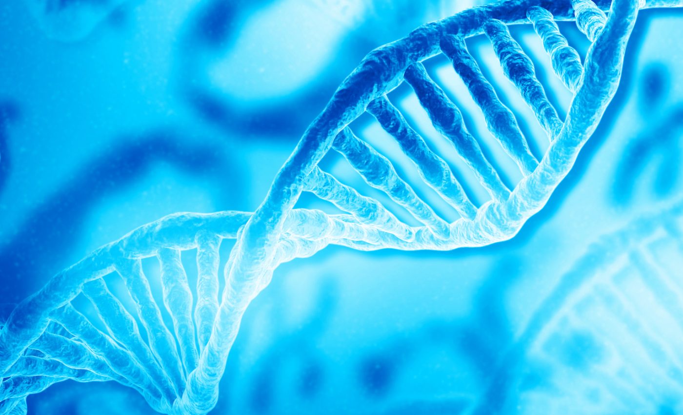 Scientists reveal how sex impacts gene expression in mammals