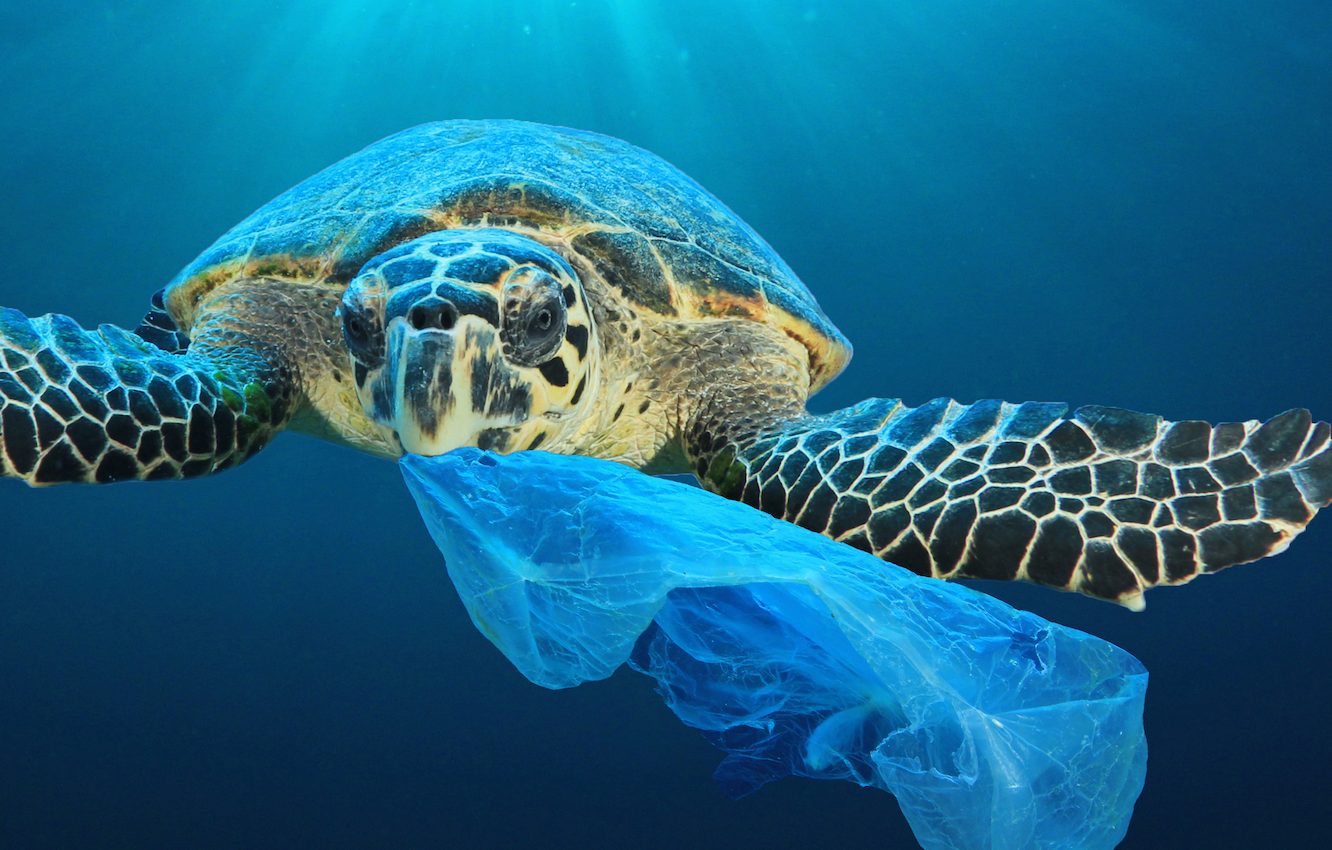 Panama is the first Central American country to ban single-use plastic bags