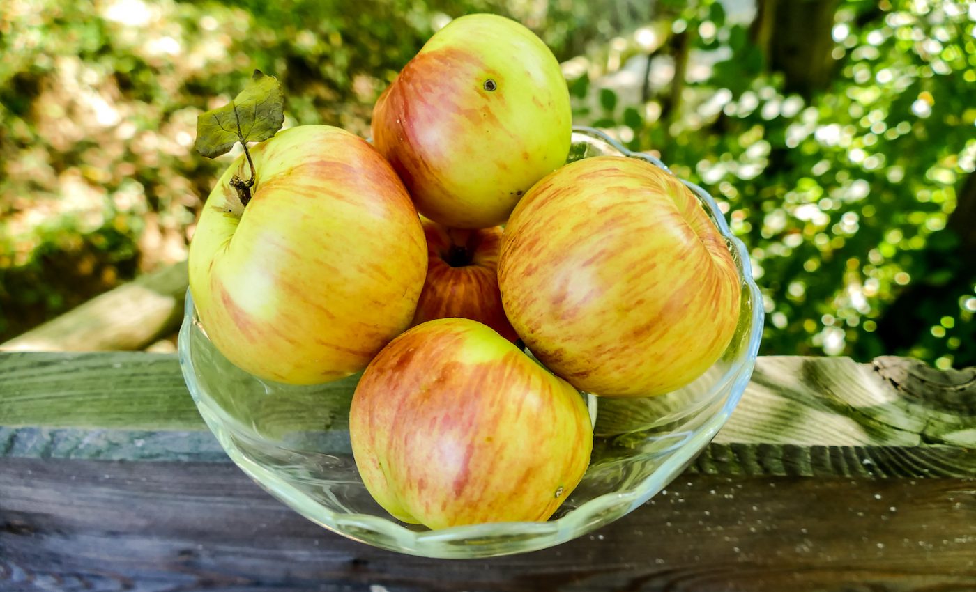 Organic apples have the best variety of bacteria for gut health