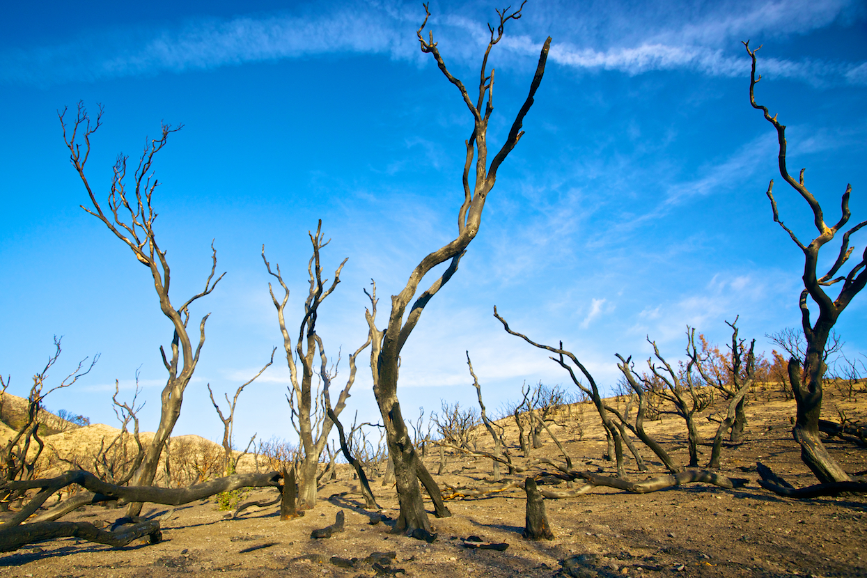 Global warming may trigger megadroughts not seen since the 15th Century