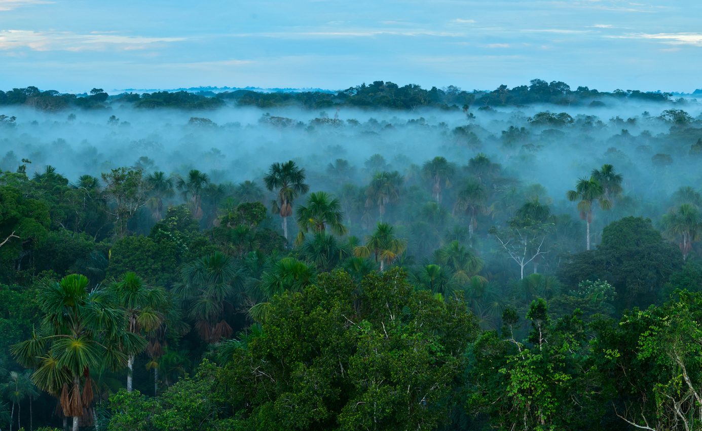 Smoke from fires in Africa help fertilize the Amazon basin