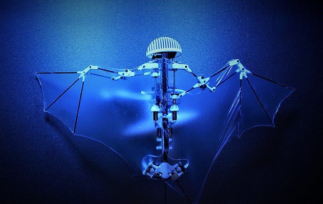 Bat-inspired drones could be used to monitor weather or pollinate crops