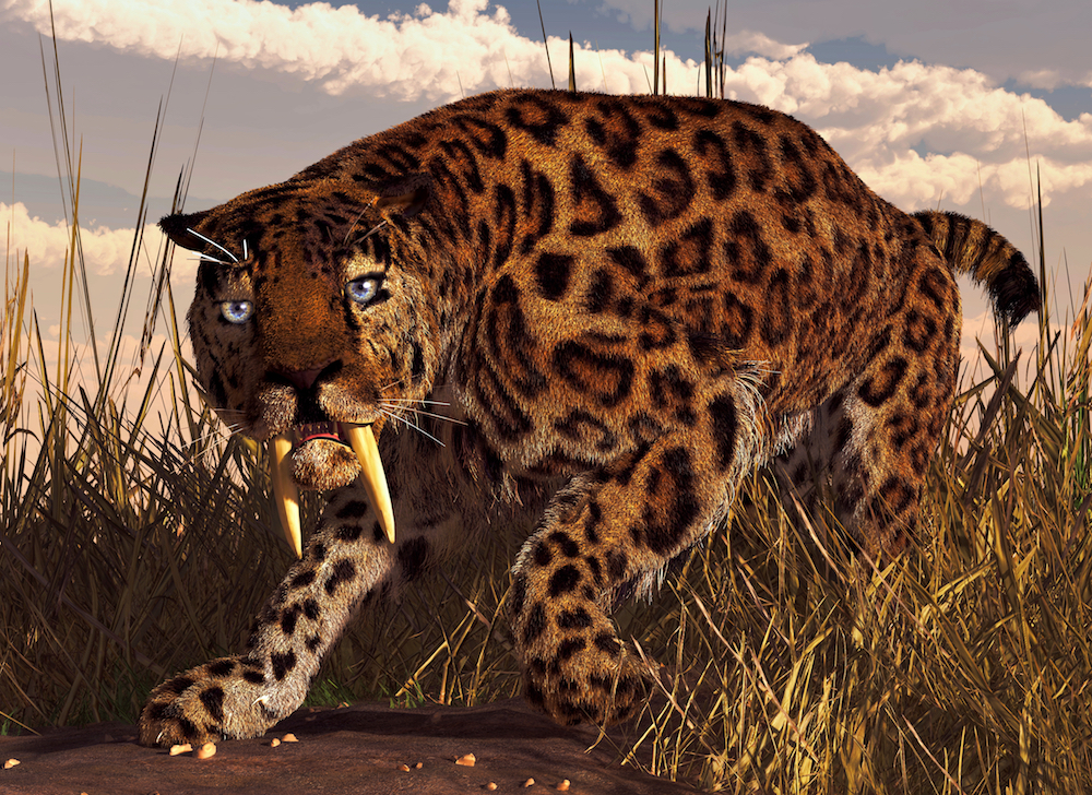 Predators that survived Pleistocene extinction had the most flexible diets