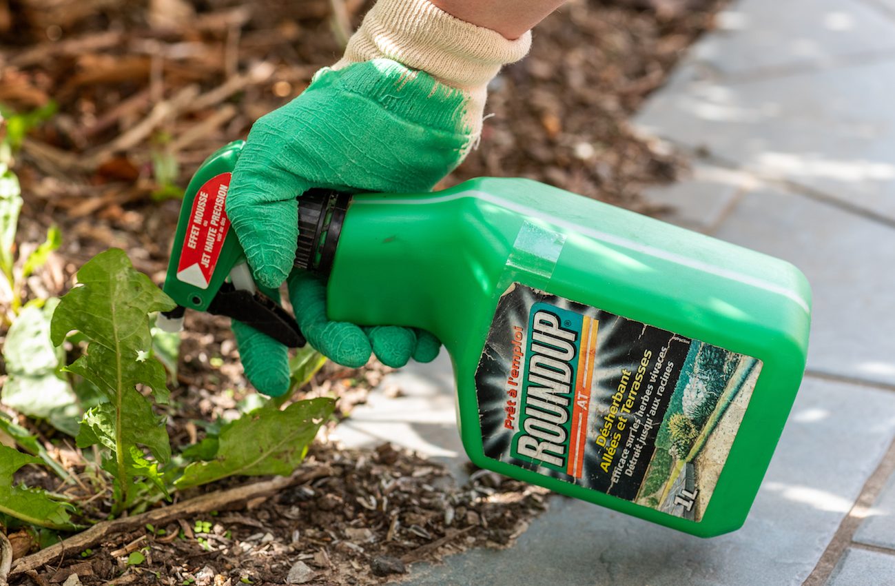 Trump’s EPA will no longer approve cancer warning labels on glyphosate products
