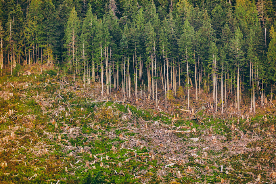The United States has lost a shocking amount of natural land since 2001
