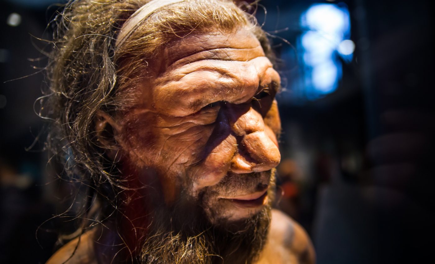 ‘Swimmer’s ear’ was common amongst Neanderthal populations