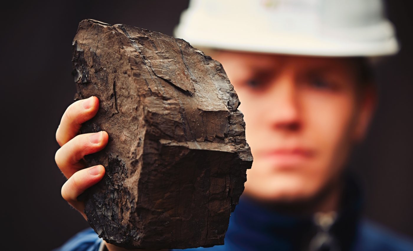 Substance found in brown coal can combat tick-borne virus