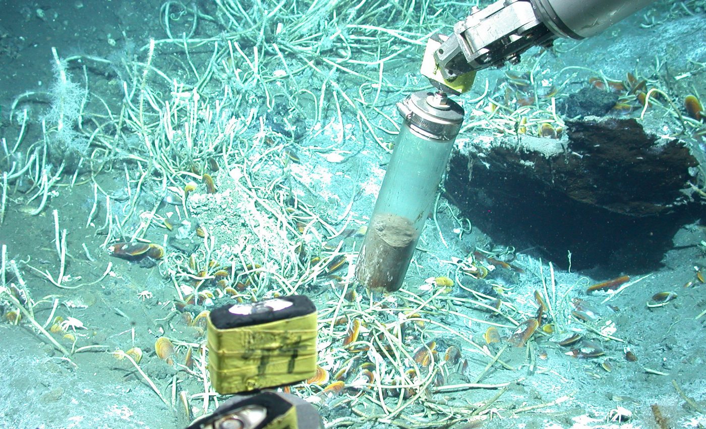 Newly identified microbe has the potential to transform oil to gas