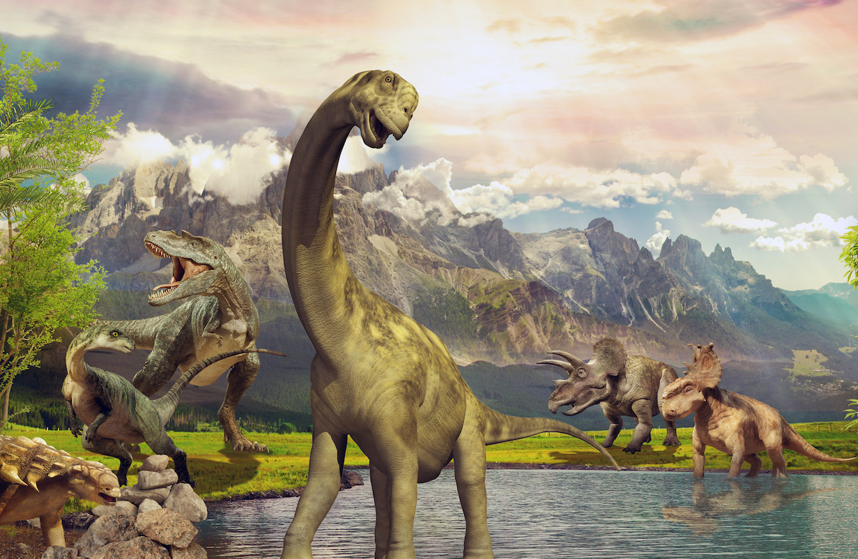 Increases in oxygen levels helped give rise to the dinosaurs