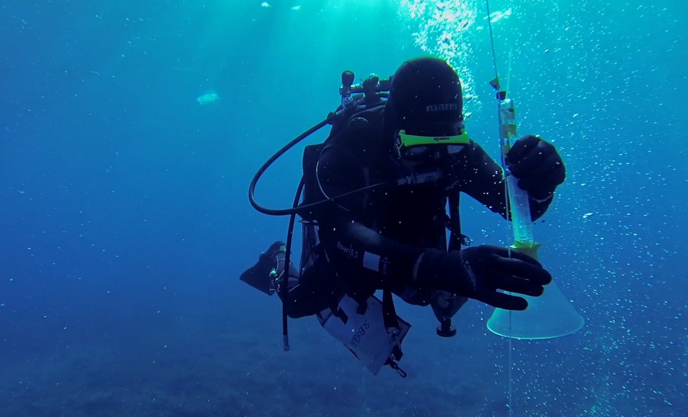 Scientists develop a way to monitor CO2 leaks on the seafloor