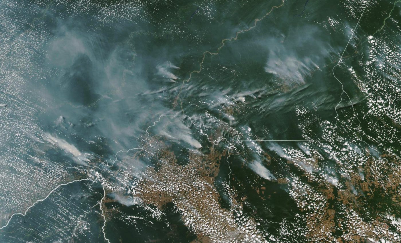The Amazon rainforest is burning at an unprecedented rate