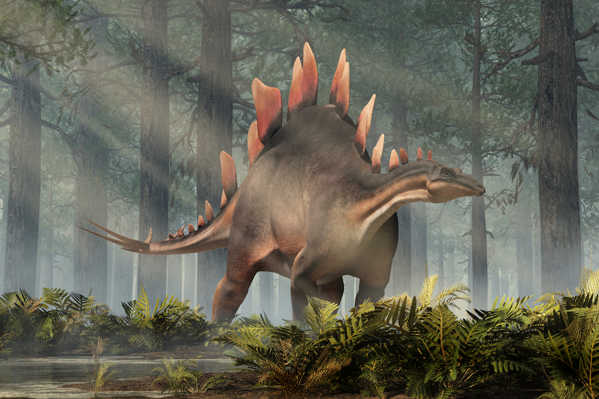 Stegosaurus fossil may be the oldest ever discovered