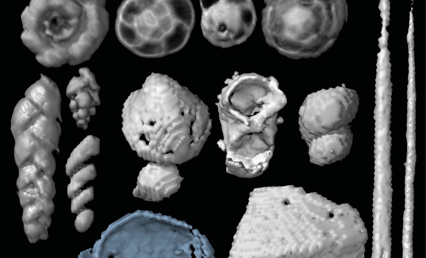 Some flying reptiles of the late Jurassic were filter feeders