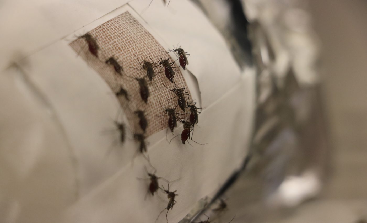 Clothing lined with graphene could help deter mosquitoes