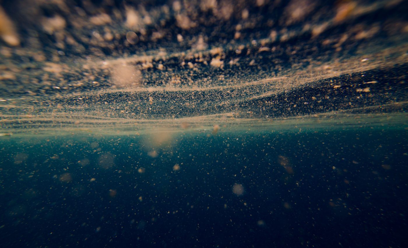 Phytoplankton may be surprisingly resilient to nutrient stress