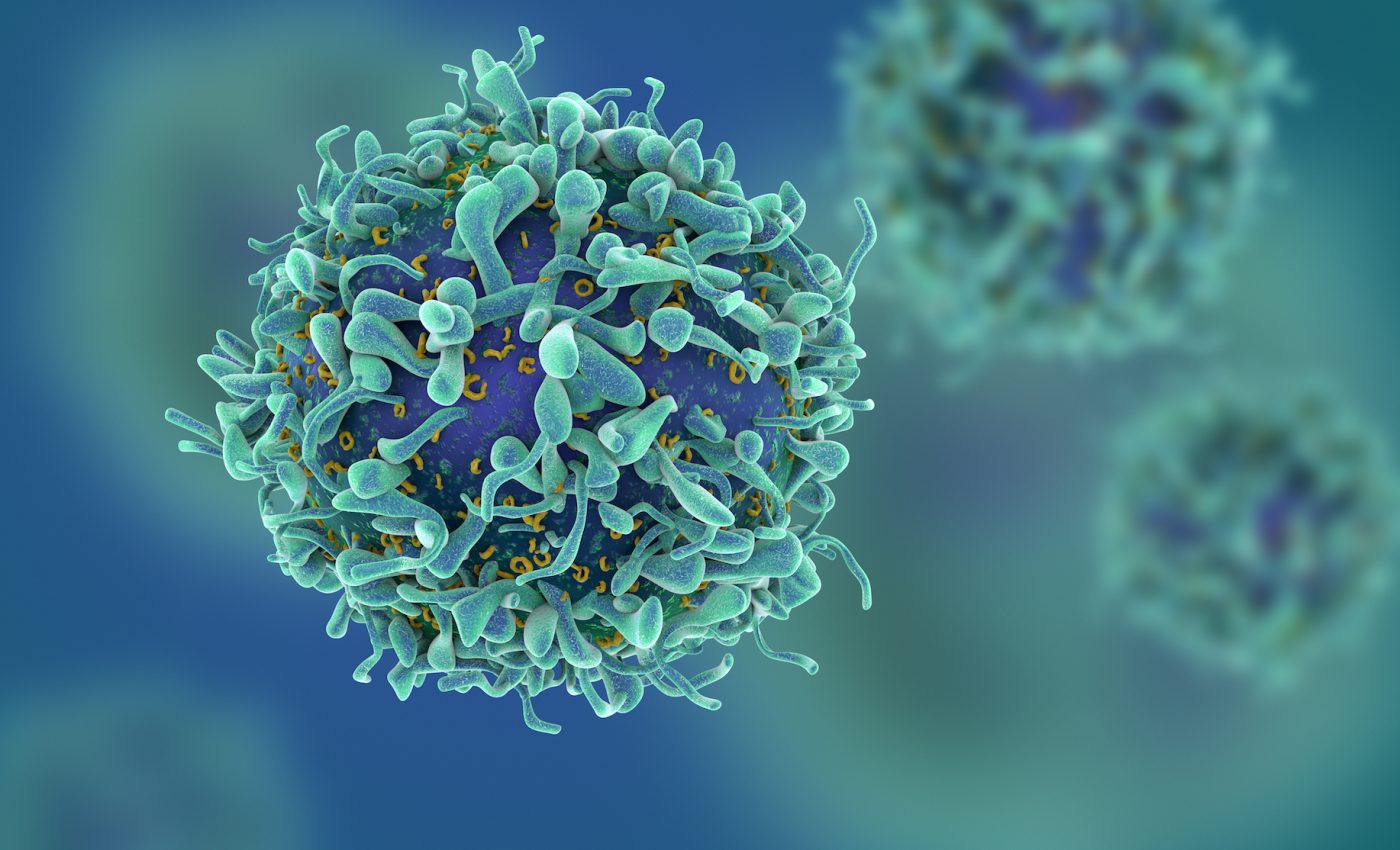 Cancer cells have a transformative impact on neighboring cells
