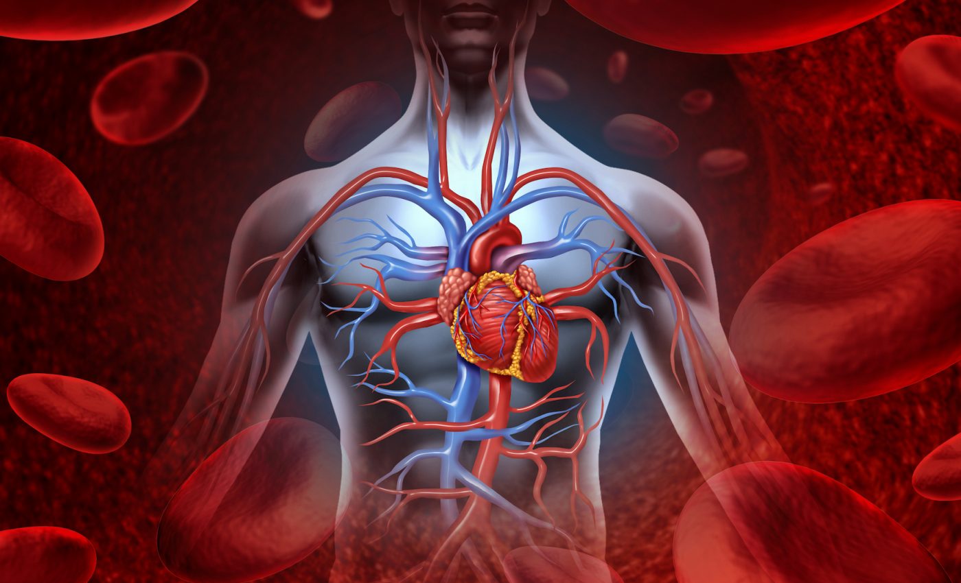 Cardiovascular disease is the leading cause of death worldwide