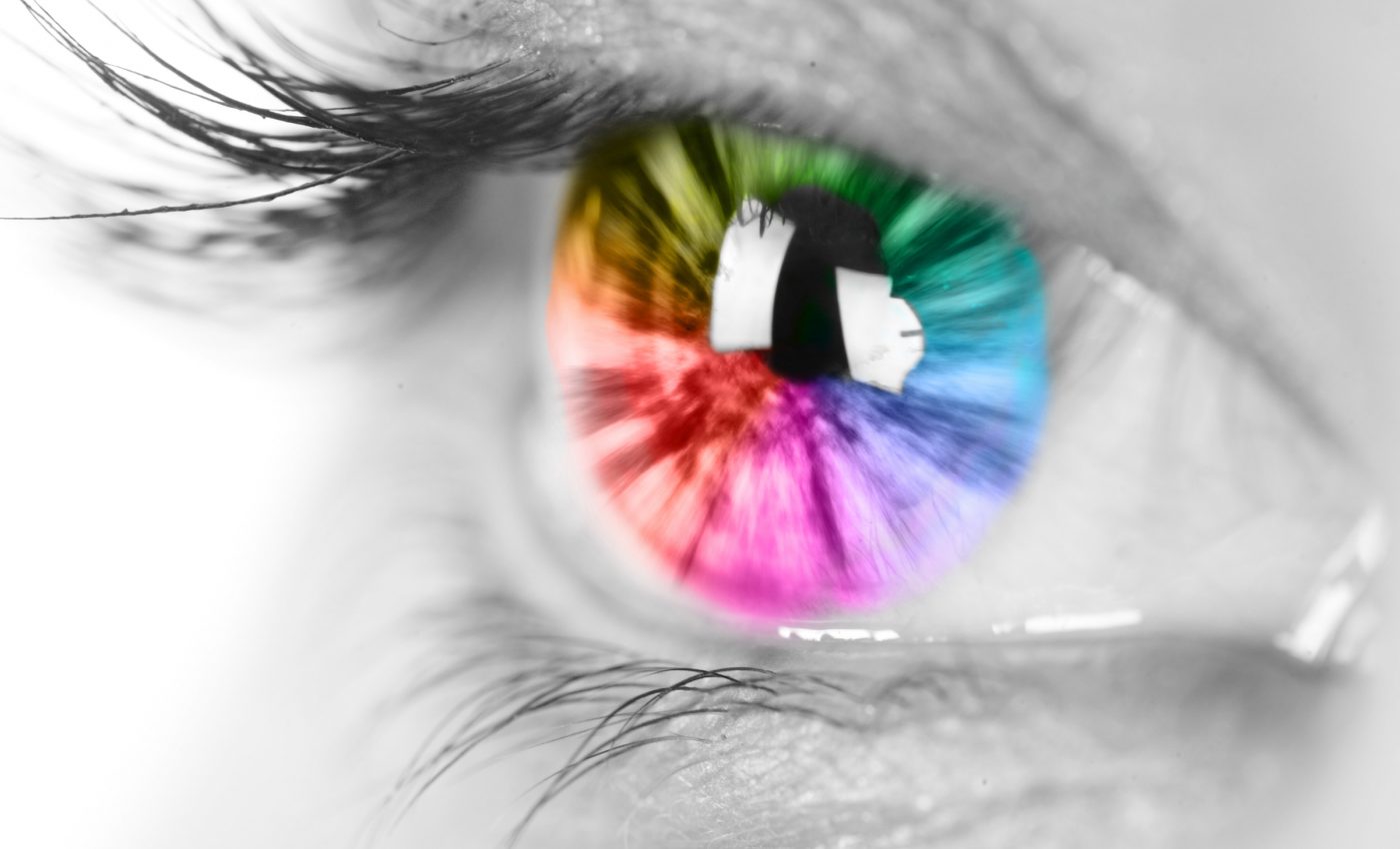 Language may not be needed for the brain to categorize objects and colors