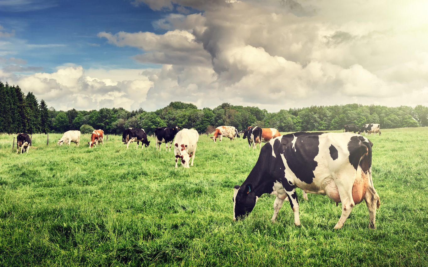 Damaging air pollution from the agricultural industry has been underestimated