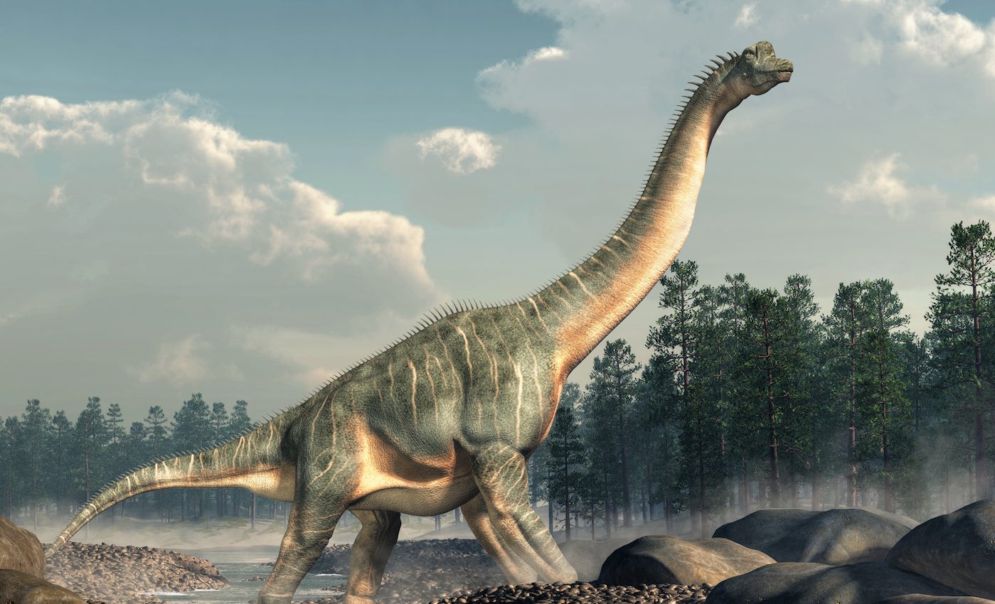 Fossilized sea turtle was flattened by a dinosaur 150 million years ago