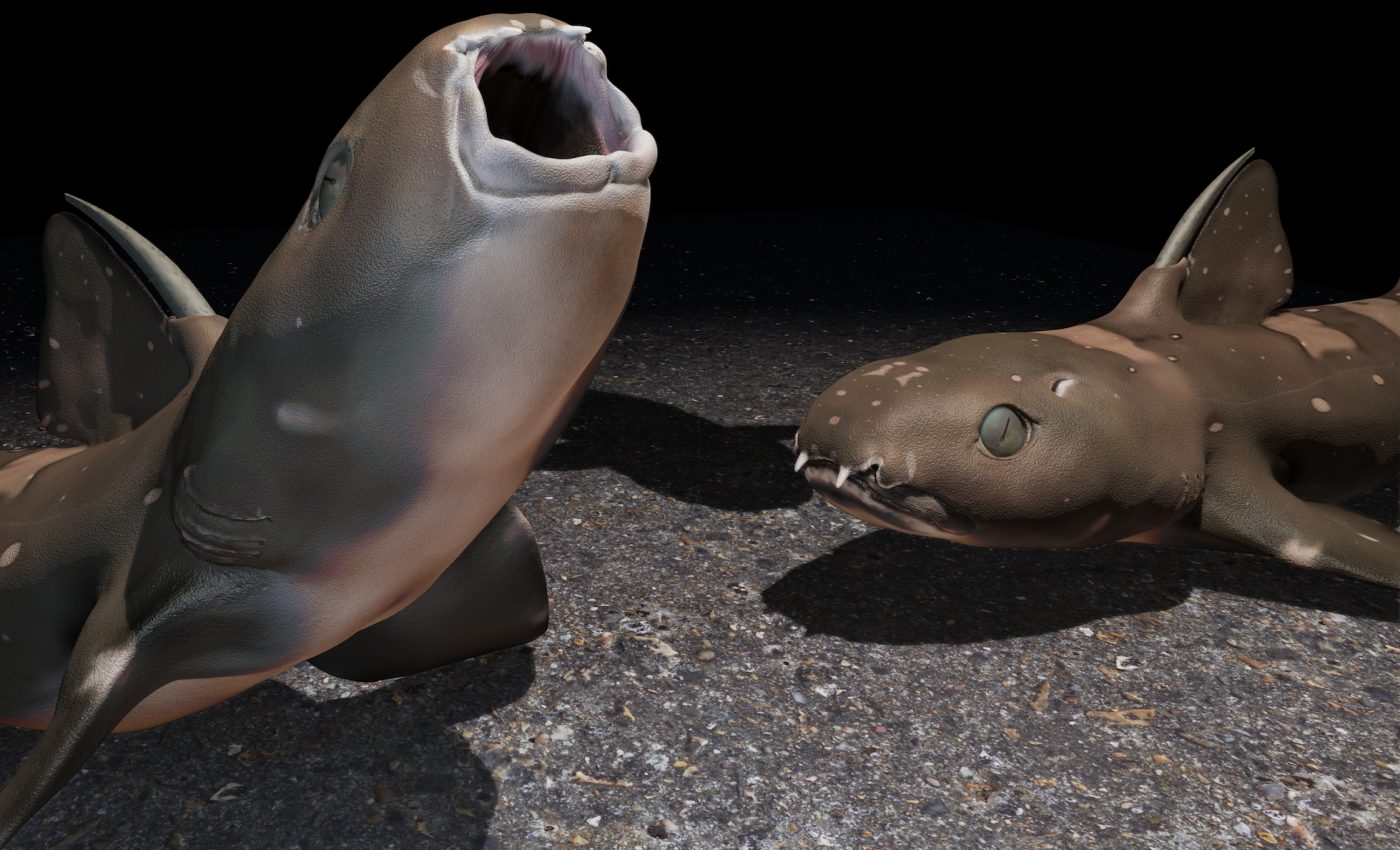 What did ancient sharks feed on when there were few fish in the sea?