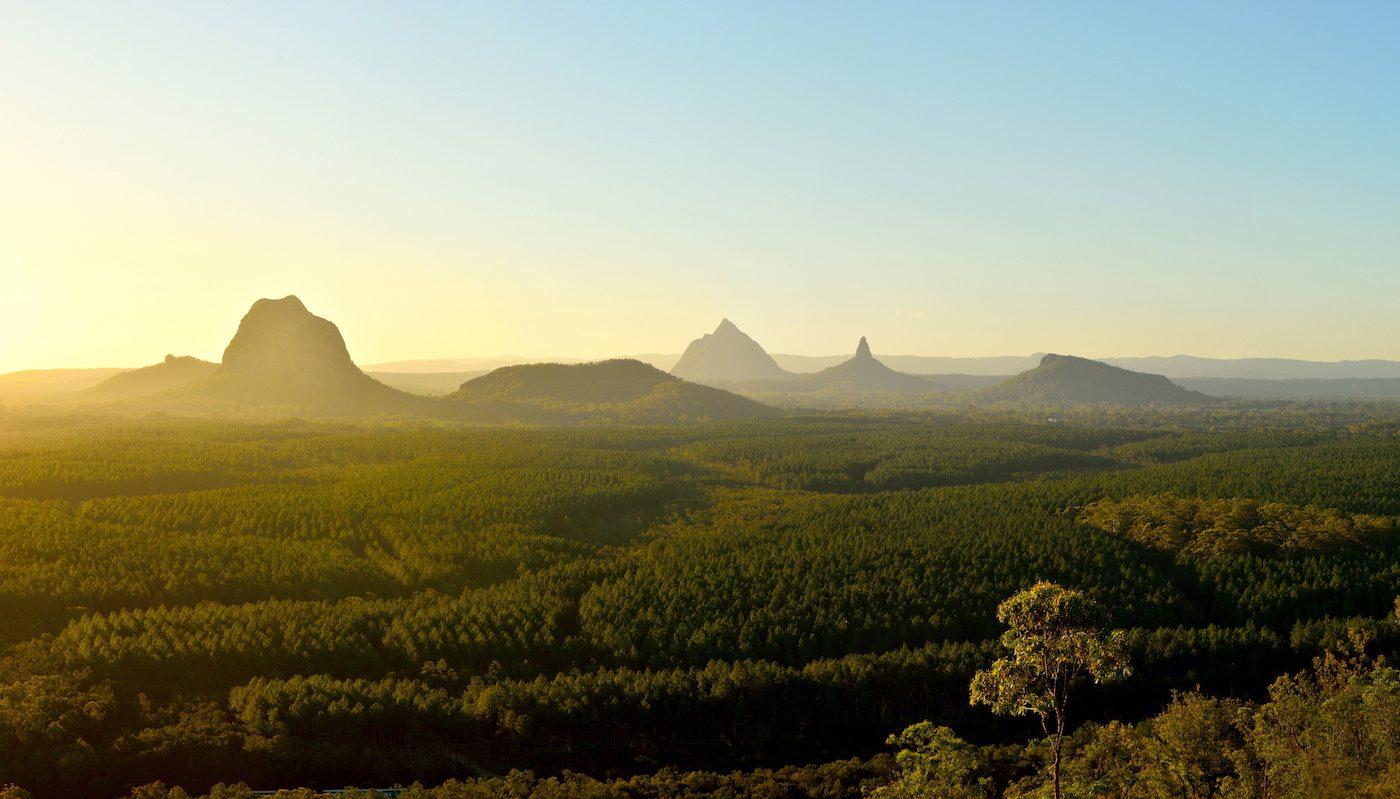 Strange-looking giant marsupials roamed Australia 25 million years ago