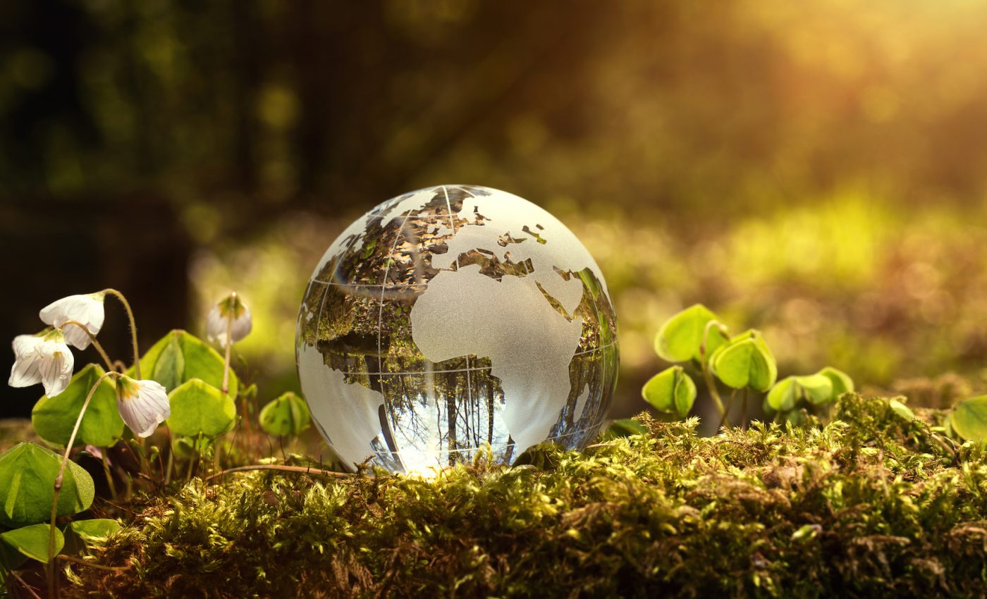 Are current environmental laws enough to cope with rapid changes?