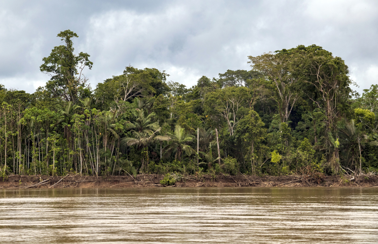 Protected wilderness areas reduce the global risk of species extinction by half