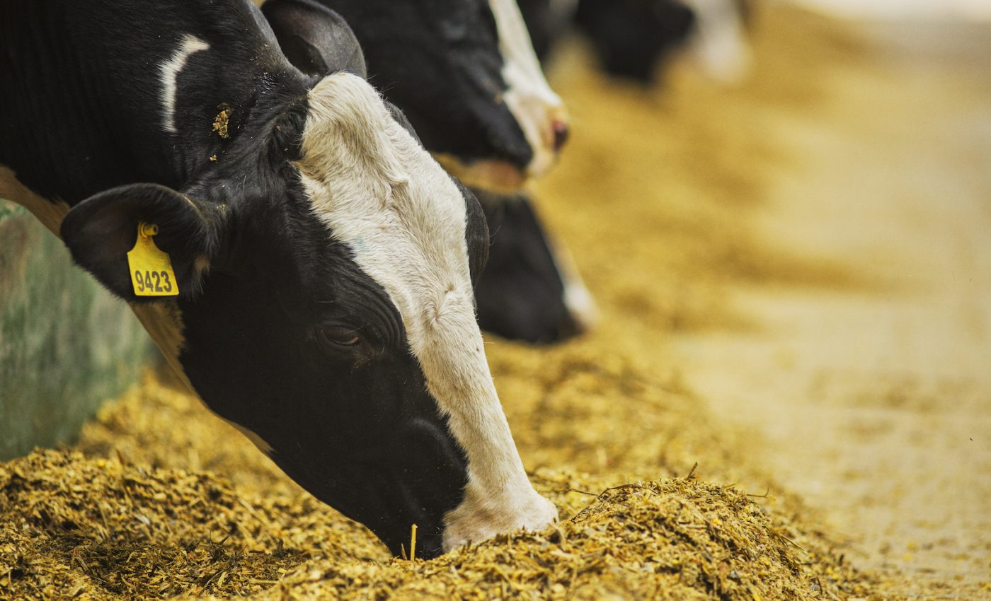 Antibiotic resistance in food animals is a cause for major concern