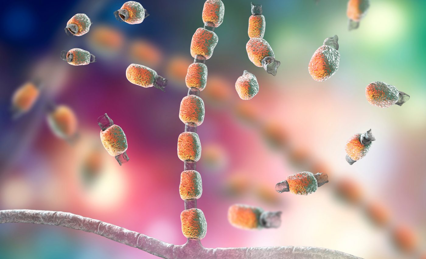 Climate change predicted to increase range of sometimes fatal fungal infection