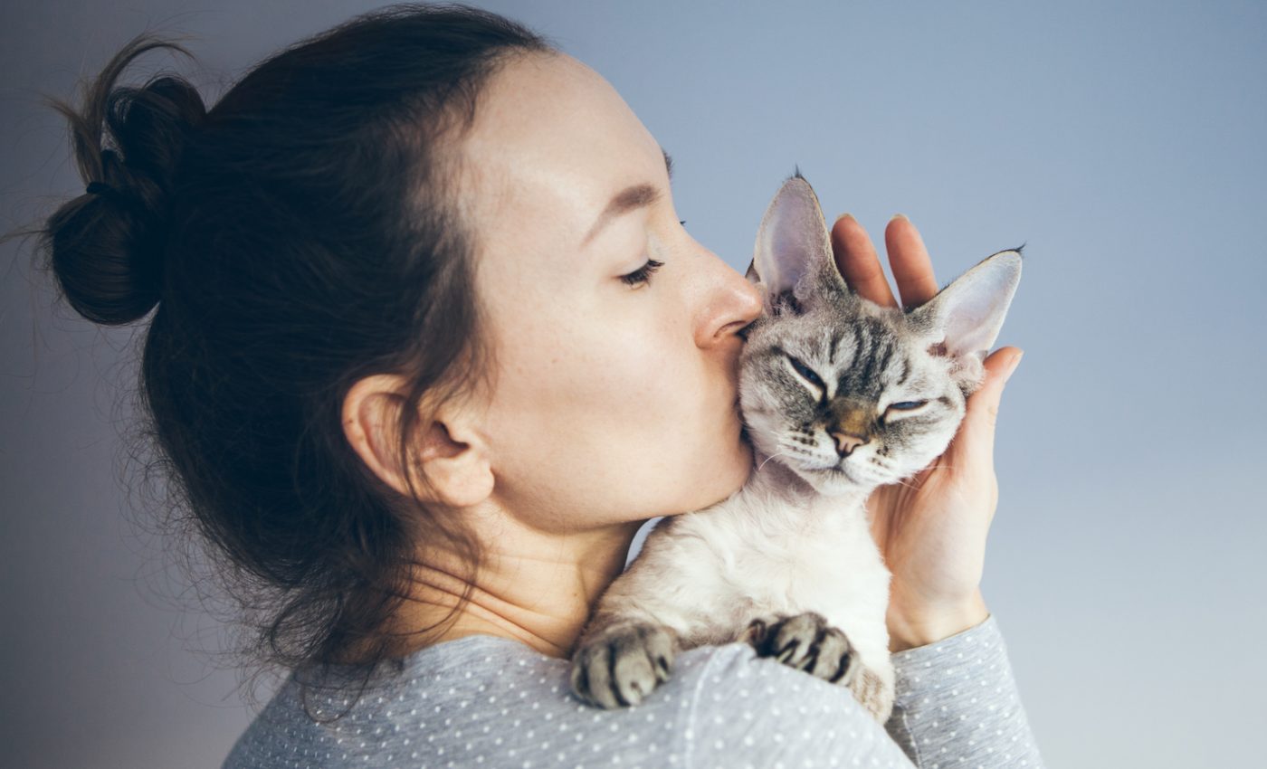 Cats develop attachments to humans just like babies and dogs