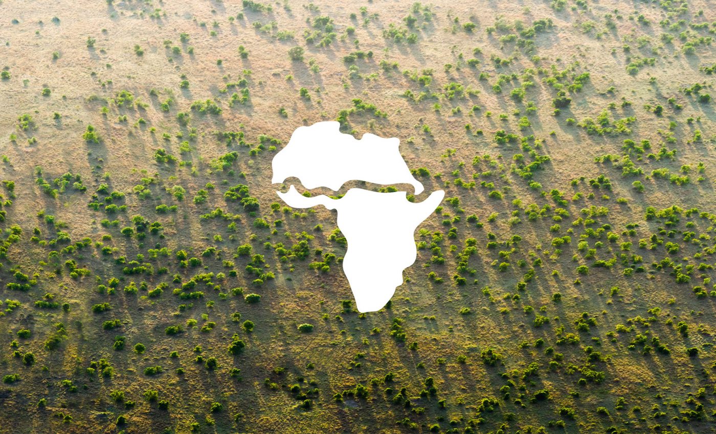The Great Green Wall project is changing the landscape in North Africa