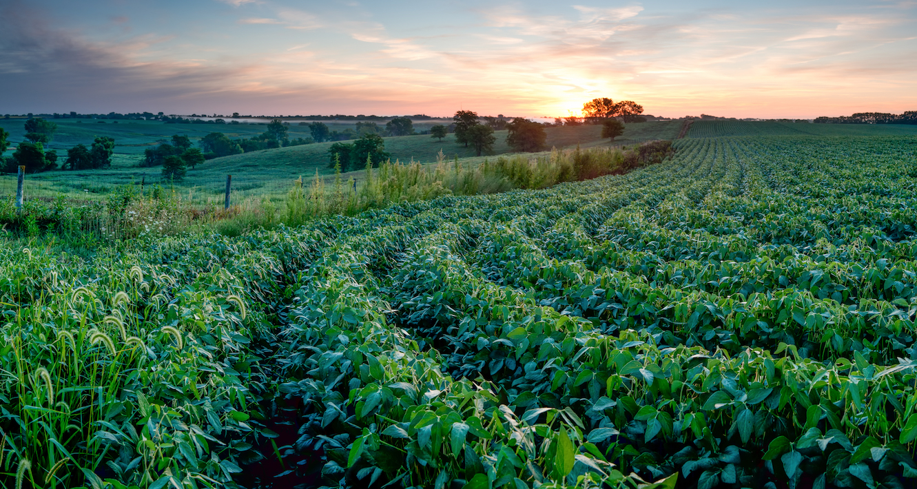 Climate-related agricultural threats in Iowa are demanding political attention