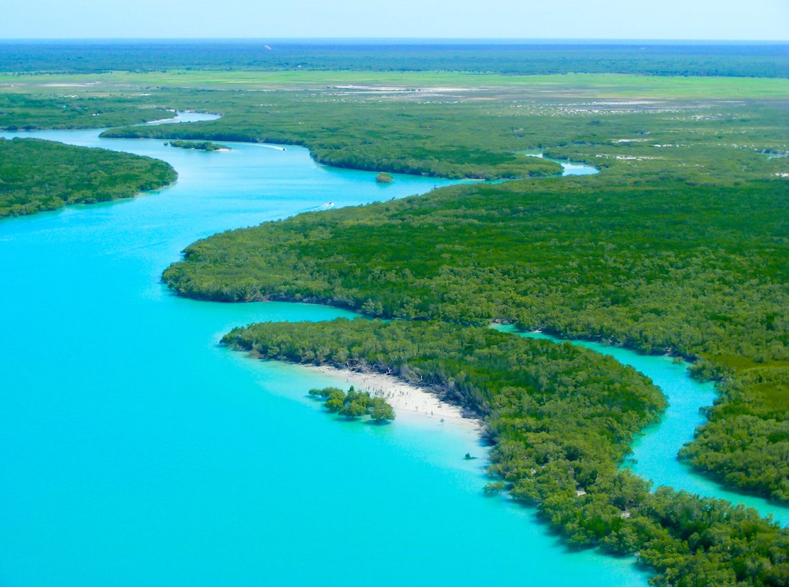 Australia to become a world leader in protecting blue carbon ecosystems