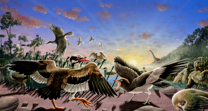 Fascinating fossil birds discovered in China